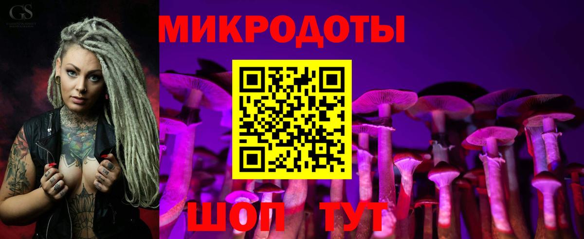 Мичуринск  Галлюциногенные грибы Psilocybe  Вход с VPN 
