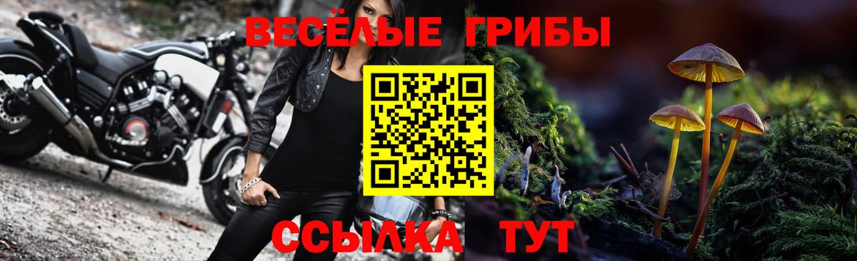 Псилоцибиновые грибы прущие грибы Мичуринск